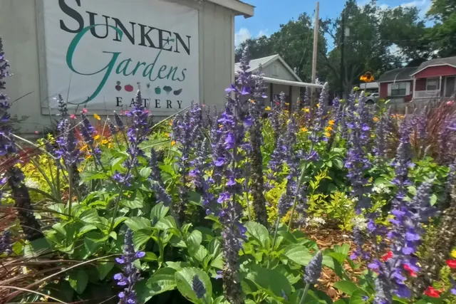 Purple salvia and mixed blooms filling the foreground below the Sunken Gardens sign.
