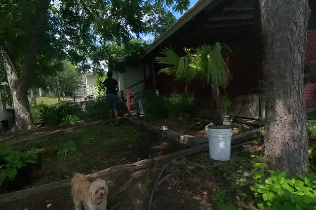 Dewarped 360 audit frame from parking boundary at 4:37 during the May 25, 2026 Sunken Gardens property walk.