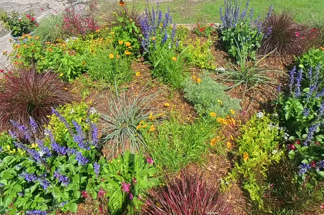 Dewarped 360 audit frame from frontage horseshoe at 8:15 during the May 25, 2026 Sunken Gardens property walk.