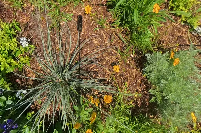 Dewarped 360 audit frame from frontage horseshoe at 8:25 during the May 25, 2026 Sunken Gardens property walk.