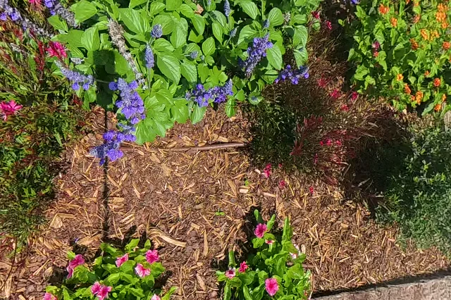 Dewarped 360 audit frame from frontage horseshoe at 8:35 during the May 25, 2026 Sunken Gardens property walk.