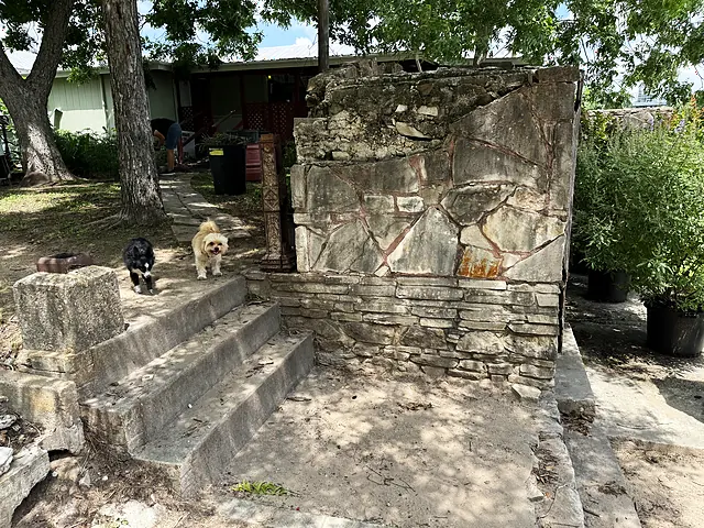 An old stone walkway and wall with two dogs under the shade trees.