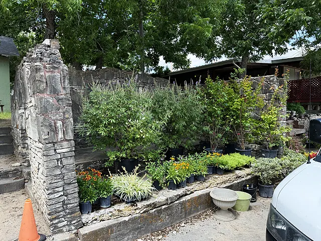 Stone walls, shade, and nursery beds staged beside the setup area.