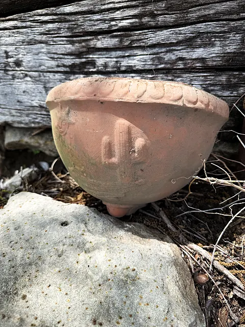A small terracotta bowl tucked among rocks and weathered wood.
