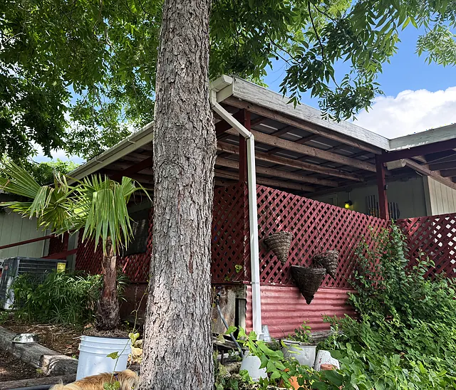 A tree-shaded display slope with plants, porch details, and nursery setup materials.